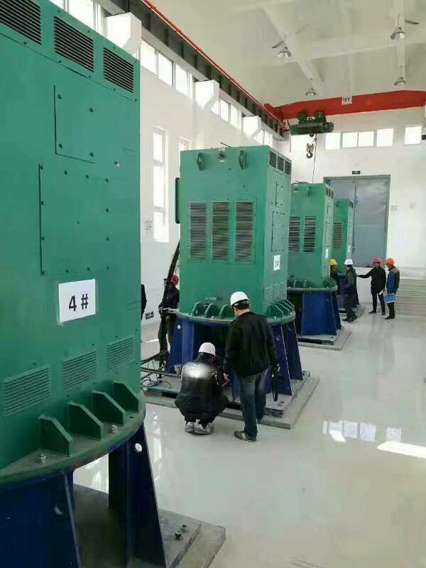 乌坡镇某污水处理厂使用我厂的立式高压电机安装现场