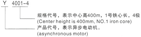 西安泰富西玛Y系列(H355-1000)高压乌坡镇三相异步电机型号说明